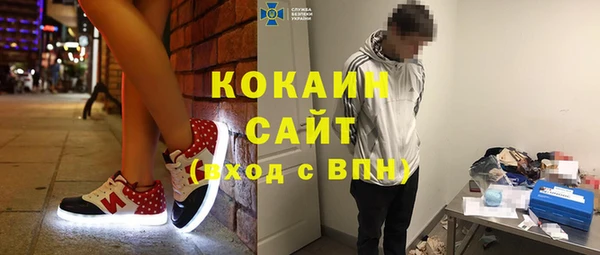 шишки Каменногорск