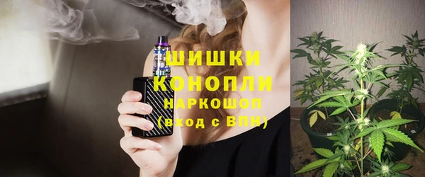 МДПВ Каменка