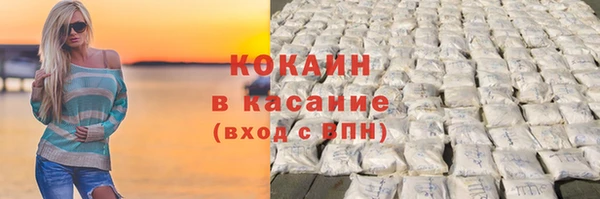 шишки Каменногорск