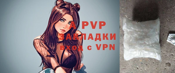МДПВ Каменка