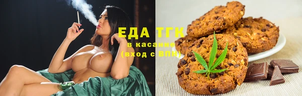 МДПВ Каменка