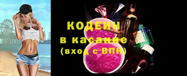 шишки Каменногорск
