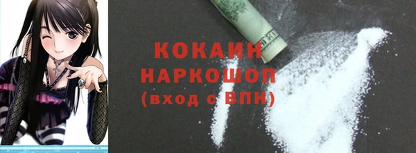 МДПВ Каменка