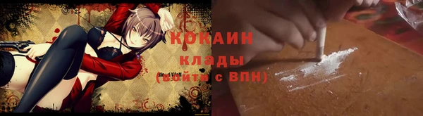 МДПВ Каменка