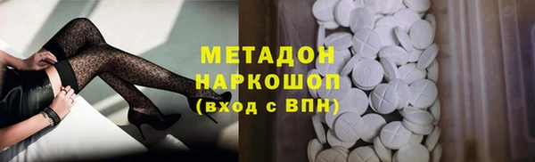 шишки Каменногорск