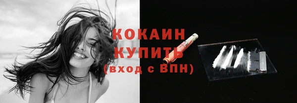 МДПВ Каменка