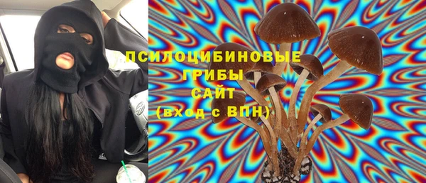 МДПВ Каменка