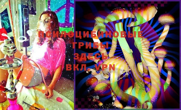 шишки Каменногорск