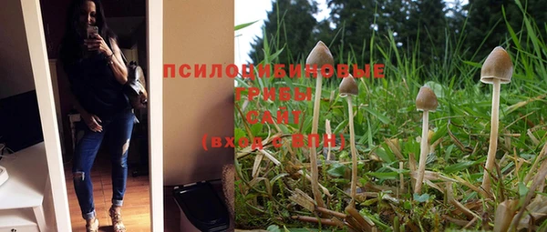 шишки Каменногорск