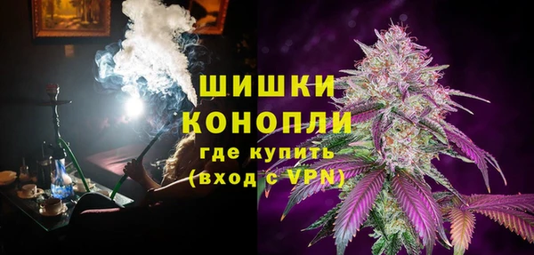 шишки Каменногорск