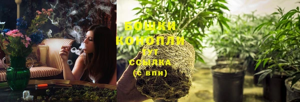 шишки Каменногорск