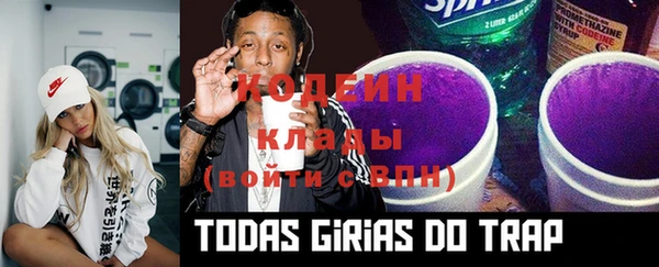 МДПВ Каменка