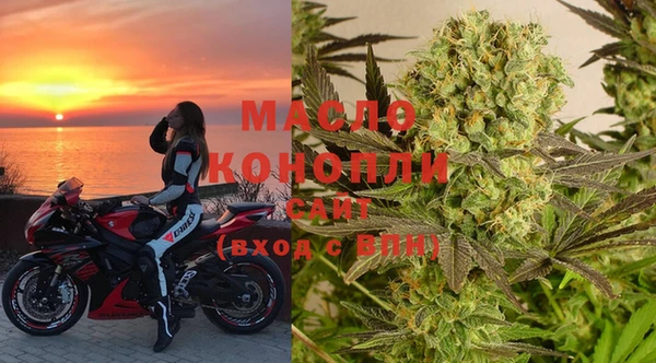 МДПВ Каменка