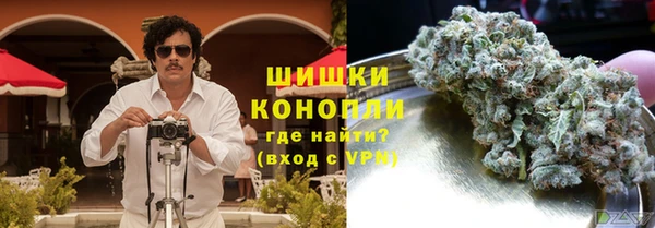 МДПВ Каменка