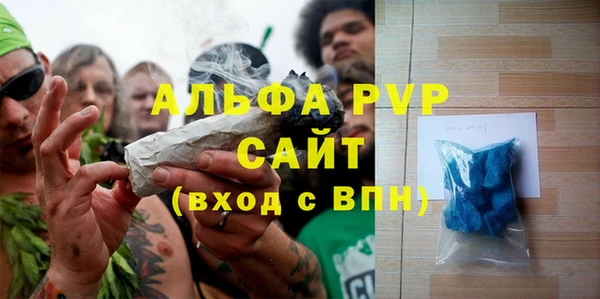 МДПВ Каменка