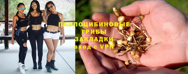 МДПВ Каменка