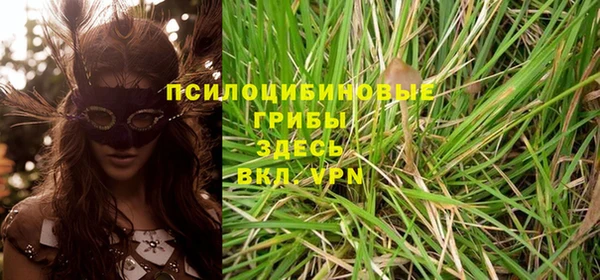 шишки Каменногорск