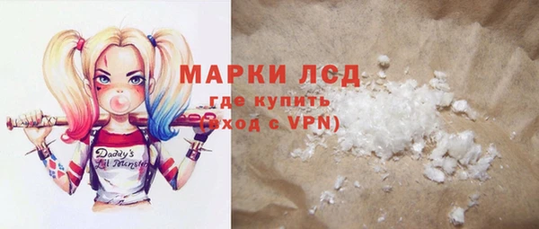 шишки Каменногорск