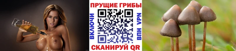 Псилоцибиновые грибы прущие грибы  Купить где  Баксан 